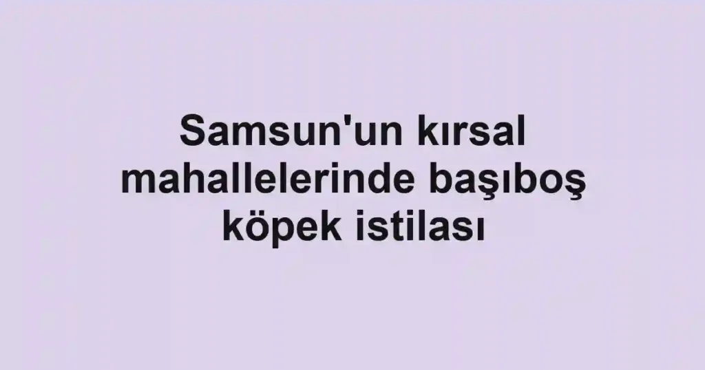 Samsun'un kırsal mahallelerinde başıboş köpek istilası
