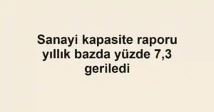 Sanayi kapasite raporu yıllık bazda yüzde 7,3 geriledi