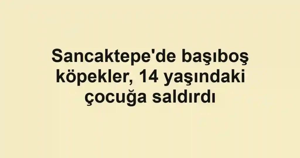 Sancaktepe'de başıboş köpekler, 14 yaşındaki çocuğa saldırdı