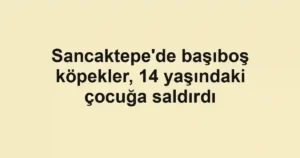 Sancaktepe'de başıboş köpekler, 14 yaşındaki çocuğa saldırdı