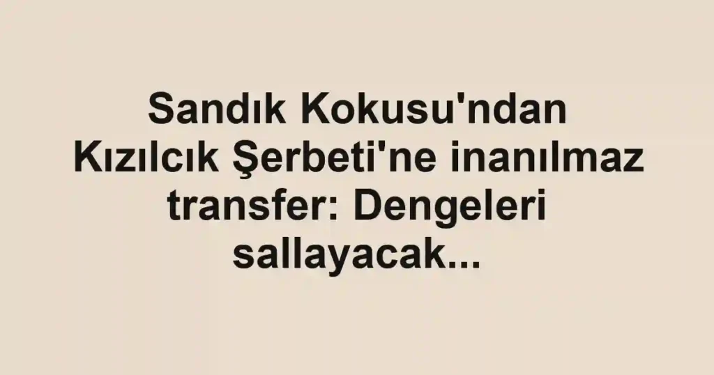 Sandık Kokusu'ndan Kızılcık Şerbeti'ne inanılmaz transfer: Dengeleri sallayacak...