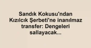 Sandık Kokusu'ndan Kızılcık Şerbeti'ne inanılmaz transfer: Dengeleri sallayacak...
