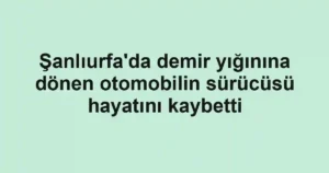 Şanlıurfa'da demir yığınına dönen otomobilin sürücüsü hayatını kaybetti