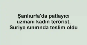 Şanlıurfa'da patlayıcı uzmanı kadın terörist, Suriye sınırında teslim oldu