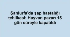 Şanlurfa'da şap hastalığı tehlikesi: Hayvan pazarı 15 gün süreyle kapatıldı