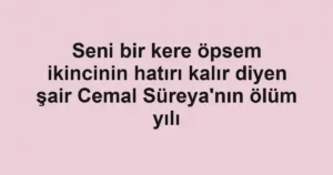 Seni bir kere öpsem ikincinin hatırı kalır diyen şair Cemal Süreya'nın ölüm yılı