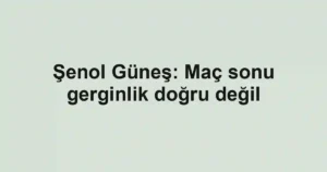 Şenol Güneş: Maç sonu gerginlik doğru değil