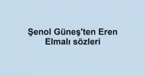 Şenol Güneş'ten Eren Elmalı sözleri