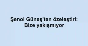 Şenol Güneş'ten özeleştiri: Bize yakışmıyor