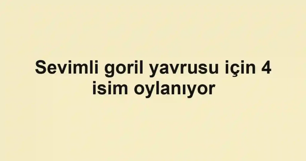 Sevimli goril yavrusu için 4 isim oylanıyor