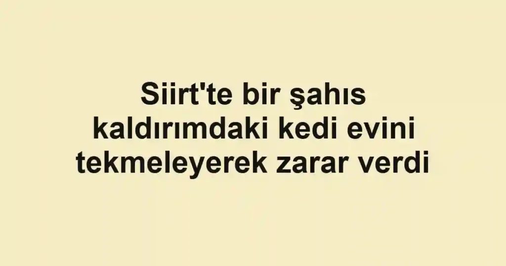 Siirt'te bir şahıs kaldırımdaki kedi evini tekmeleyerek zarar verdi