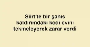 Siirt'te bir şahıs kaldırımdaki kedi evini tekmeleyerek zarar verdi