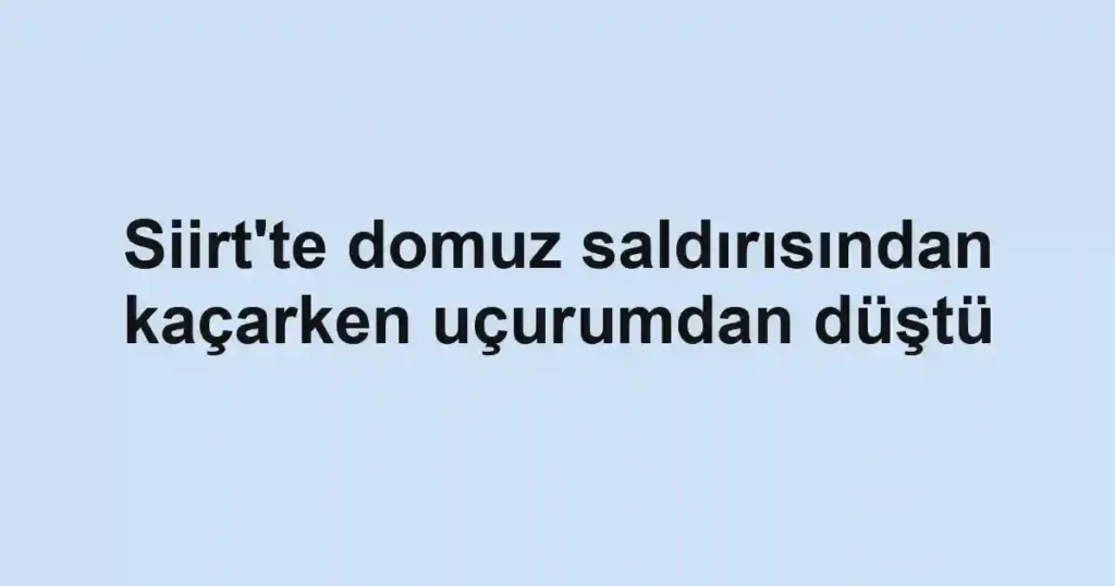 Siirt'te domuz saldırısından kaçarken uçurumdan düştü