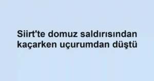Siirt'te domuz saldırısından kaçarken uçurumdan düştü