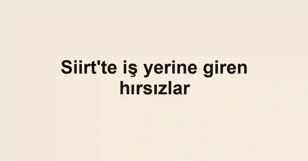 Siirt'te iş yerine giren hırsızlar