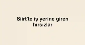 Siirt'te iş yerine giren hırsızlar