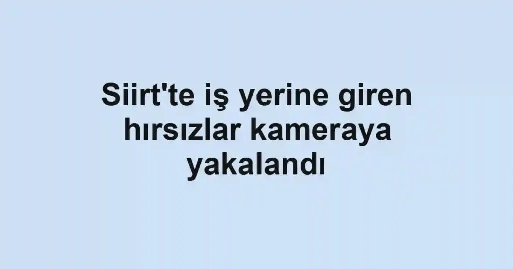 Siirt'te iş yerine giren hırsızlar kameraya yakalandı