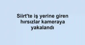 Siirt'te iş yerine giren hırsızlar kameraya yakalandı