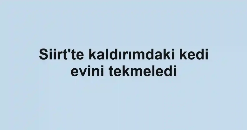 Siirt'te kaldırımdaki kedi evini tekmeledi