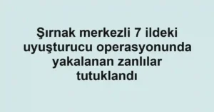 Şırnak merkezli 7 ildeki uyuşturucu operasyonunda yakalanan zanlılar tutuklandı
