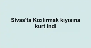 Sivas'ta Kızılırmak kıyısına kurt indi