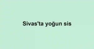 Sivas'ta yoğun sis
