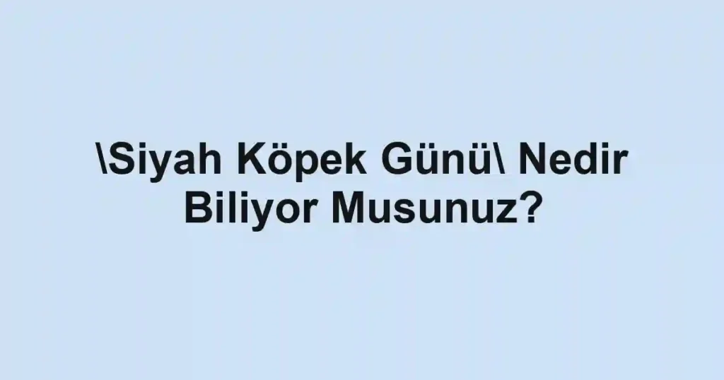 Siyah Köpek Günü Nedir Biliyor Musunuz?