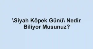 Siyah Köpek Günü Nedir Biliyor Musunuz?