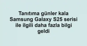 Tanıtıma günler kala Samsung Galaxy S25 serisi ile ilgili daha fazla bilgi geldi