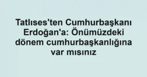 Tatlıses'ten Cumhurbaşkanı Erdoğan'a: Önümüzdeki dönem cumhurbaşkanlığına var mısınız
