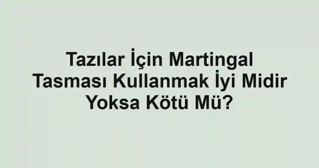 Tazılar İçin Martingal Tasması Kullanmak İyi Midir Yoksa Kötü Mü?