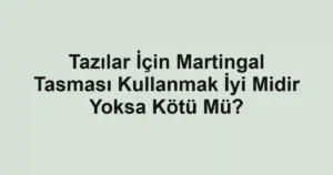 Tazılar İçin Martingal Tasması Kullanmak İyi Midir Yoksa Kötü Mü?