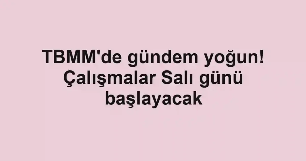 TBMM'de gündem yoğun! Çalışmalar Salı günü başlayacak