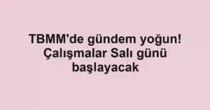 TBMM'de gündem yoğun! Çalışmalar Salı günü başlayacak