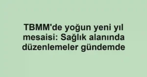 TBMM'de yoğun yeni yıl mesaisi: Sağlık alanında düzenlemeler gündemde