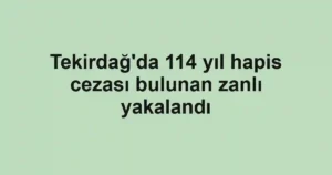 Tekirdağ'da 114 yıl hapis cezası bulunan zanlı yakalandı