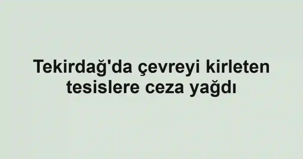 Tekirdağ'da çevreyi kirleten tesislere ceza yağdı