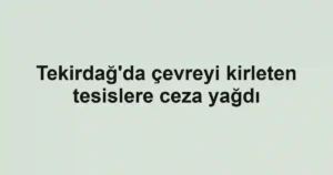 Tekirdağ'da çevreyi kirleten tesislere ceza yağdı