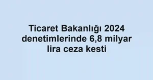 Ticaret Bakanlığı 2024 denetimlerinde 6,8 milyar lira ceza kesti