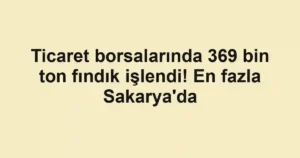 Ticaret borsalarında 369 bin ton fındık işlendi! En fazla Sakarya'da