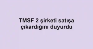 TMSF 2 şirketi satışa çıkardığını duyurdu