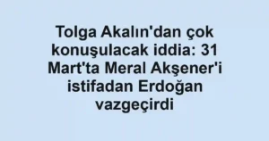 Tolga Akalın'dan çok konuşulacak iddia: 31 Mart'ta Meral Akşener'i istifadan Erdoğan vazgeçirdi
