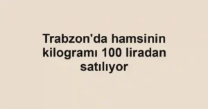 Trabzon'da hamsinin kilogramı 100 liradan satılıyor