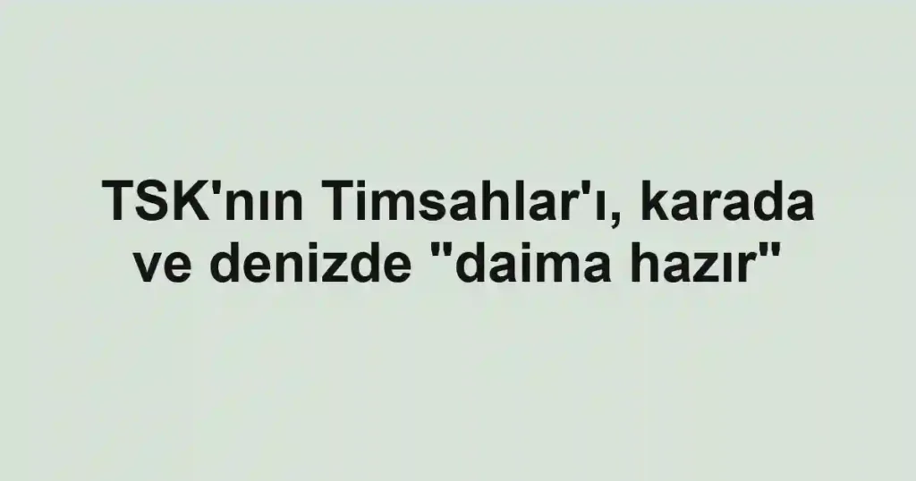 TSK'nın Timsahlar'ı, karada ve denizde "daima hazır"