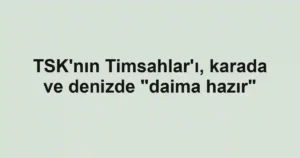 TSK'nın Timsahlar'ı, karada ve denizde "daima hazır"