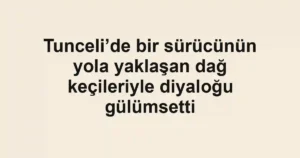 Tunceli’de bir sürücünün yola yaklaşan dağ keçileriyle diyaloğu gülümsetti