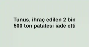 Tunus, ihraç edilen 2 bin 500 ton patatesi iade etti