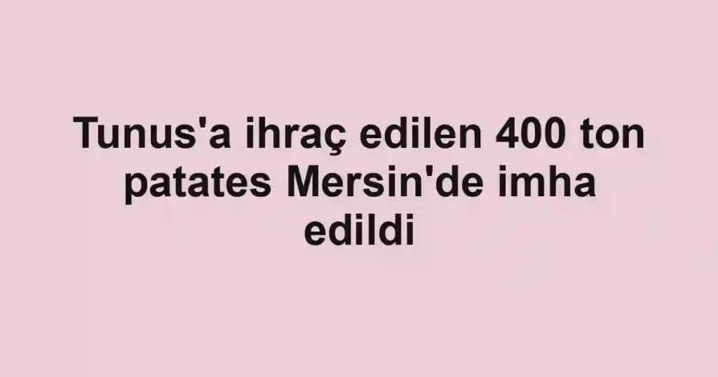 Tunus'a ihraç edilen 400 ton patates Mersin'de imha edildi