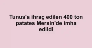 Tunus'a ihraç edilen 400 ton patates Mersin'de imha edildi
