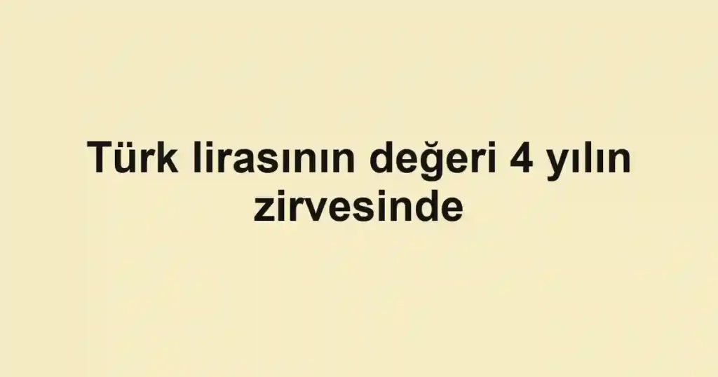Türk lirasının değeri 4 yılın zirvesinde